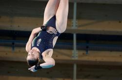 开云体育入口-比利时女子跳水选手势不可挡的简单介绍