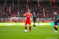 开云在线直播-斯图加特欲在主场战胜柏林联合的简单介绍