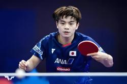 开云体育平台APP-日本乒乓球队翻盘比利时乒乓球队，水谷隼爆发神勇的简单介绍
