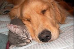 开云官网-冰与火的对决，当冰岛式防守斩落瑞士，坎特在抢七之夜化身战神