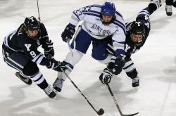 开云下载-赛道与球场，当F1街道赛之夜遇见约基奇的末节统治