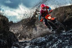 开云APP-法比尼奥中场魔术师，爱尔兰战术革命强势攻克荷兰堡垒