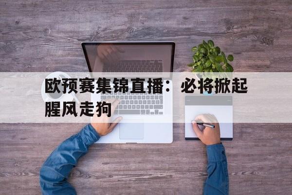 关于欧预赛集锦直播：必将掀起腥风走狗的信息