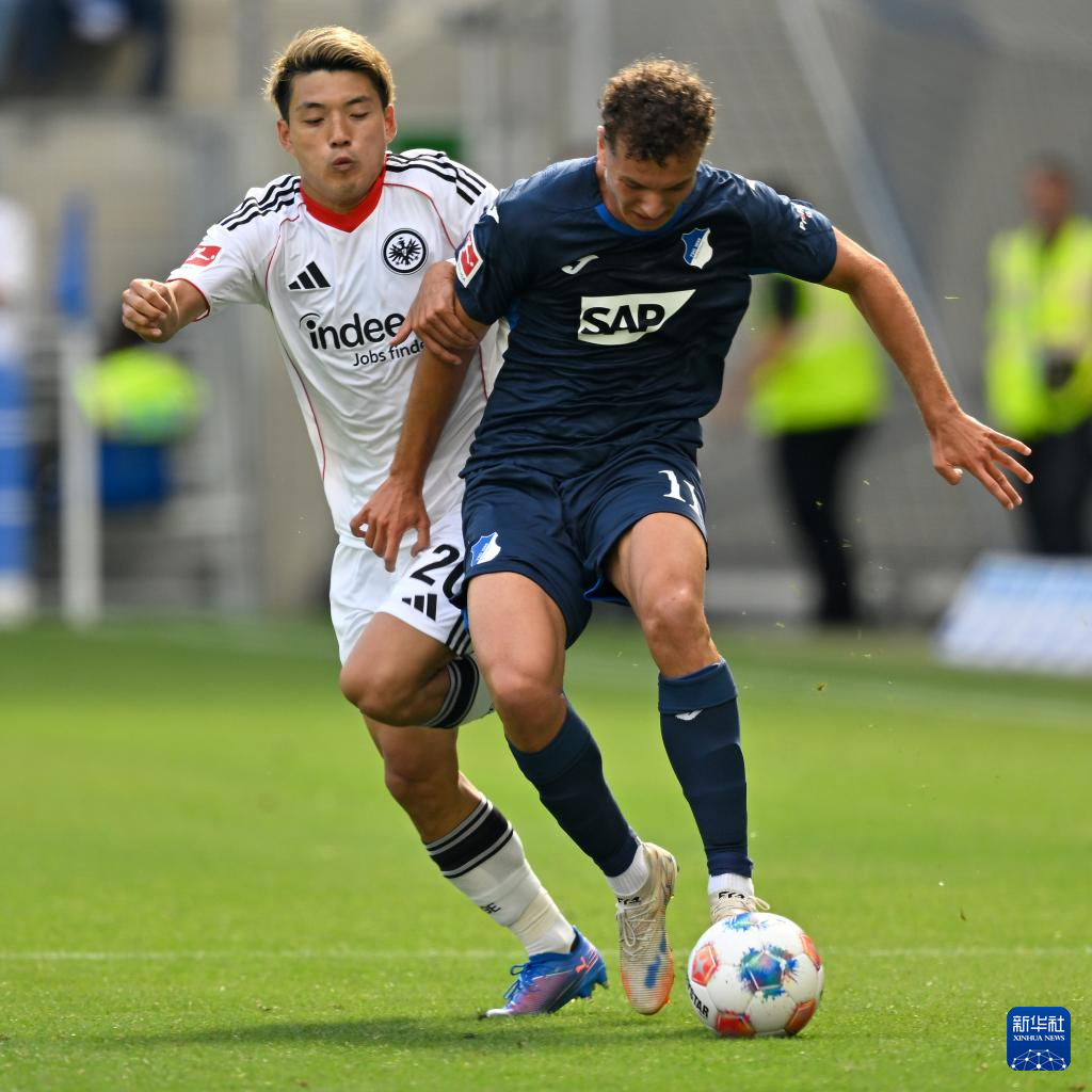 关于霍芬海姆迎战法兰克福，斗志昂扬要拿下三分的信息