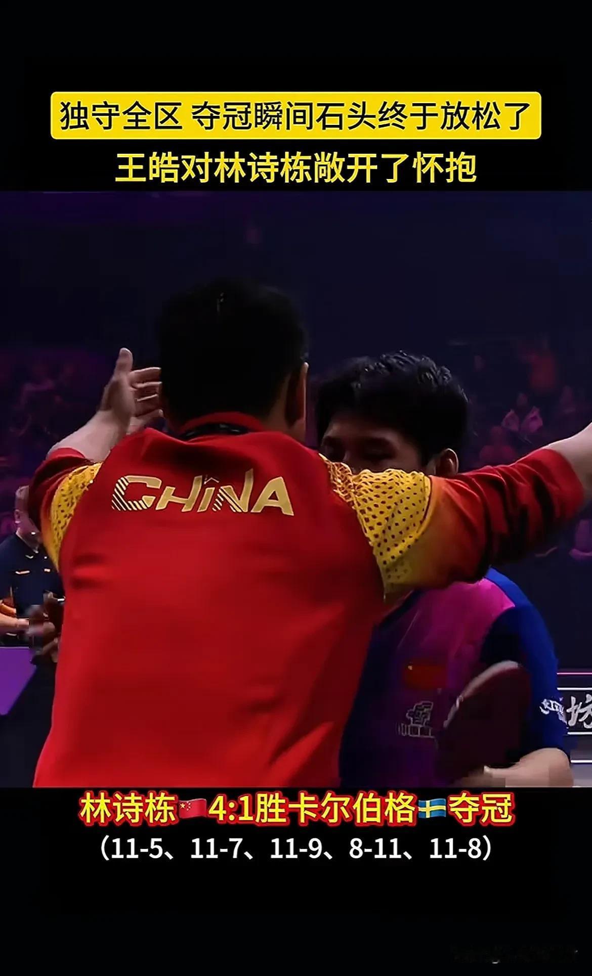 德国乒乓球队爆冷比利时乒乓球队，王皓高光表现的简单介绍