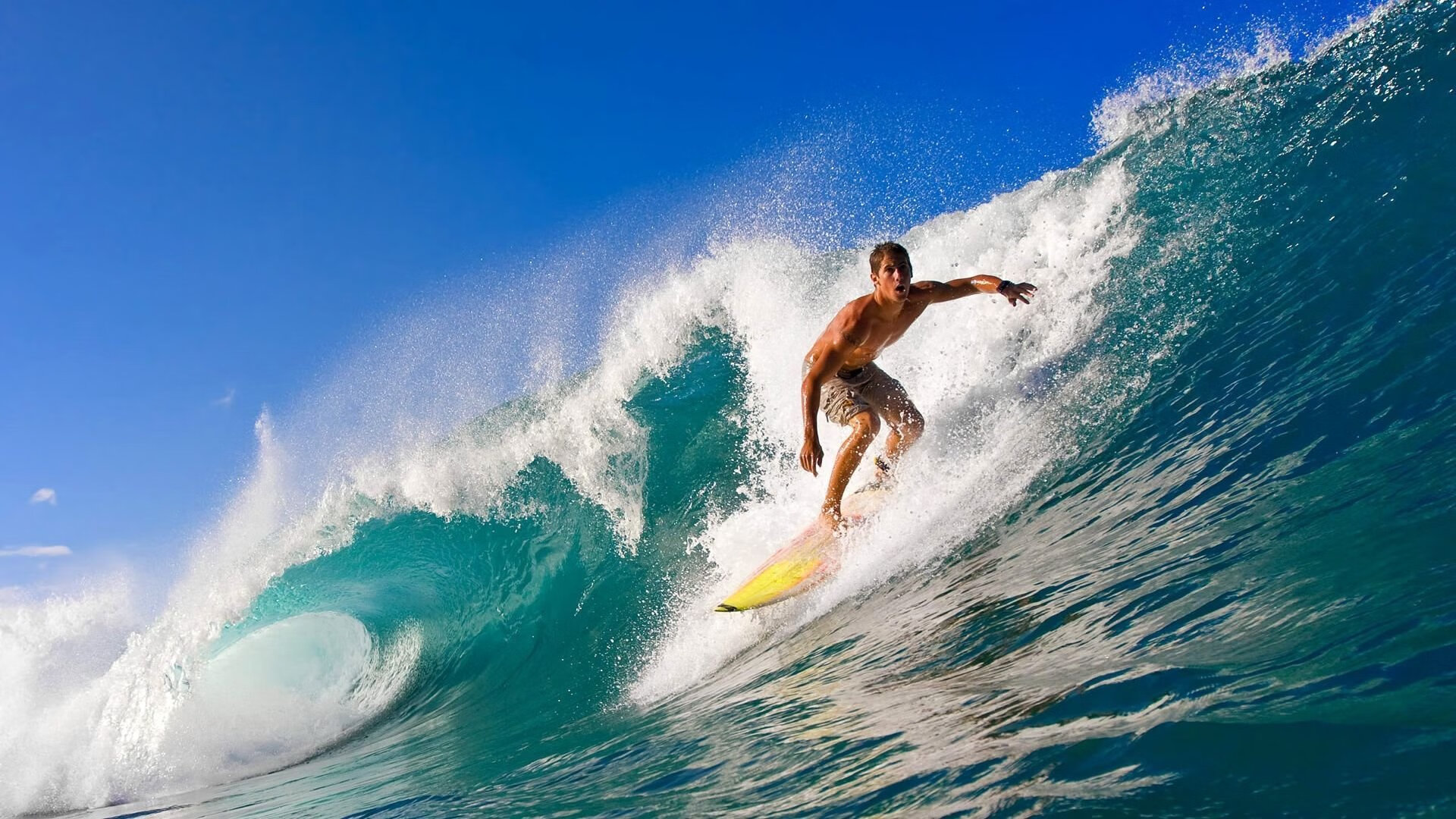 赛道与主场，当F1引擎在上海街头遇见奇才的魔法